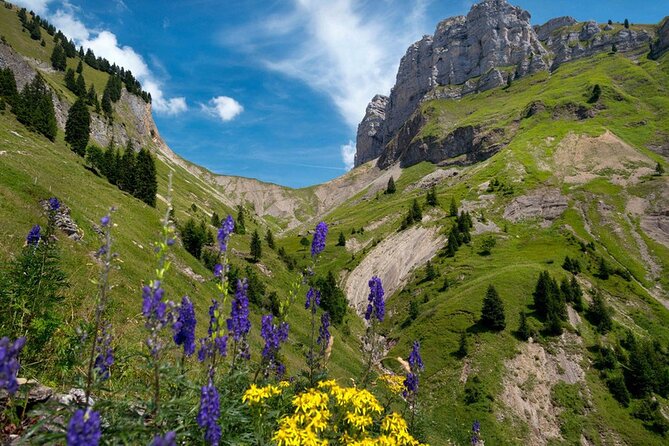 Beauty of Switzerland Full Day Sightseeing Tour - Inclusions