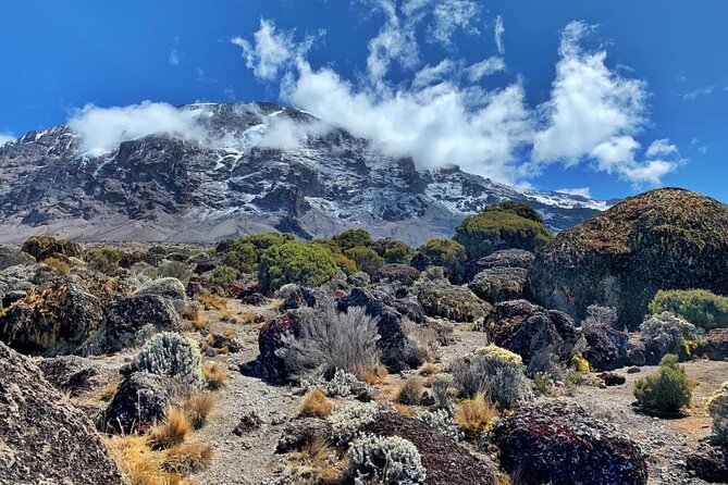 Best 6 Days Kilimanjaro Climbing via Marangu Route 2024 &2025 - The Sum Up