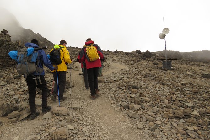 Best 7 Days Lemosho Route Kilimanjaro Hiking Package 2024/2025 - Booking and Contact Information