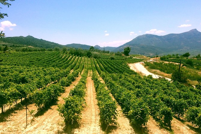 BEST Peloponnese Wine Roads Tour With Ancient Nemae - Wine Tasting Experience