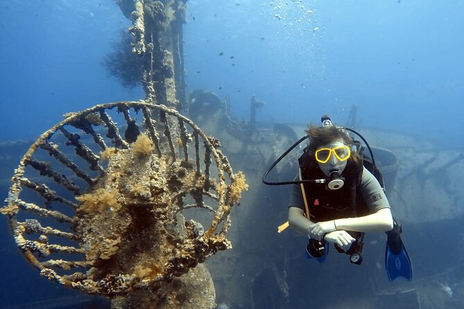 Boat Dive 2 Guided Dives With Lunch Included Wreck Dive&Reef Dive - The Sum Up
