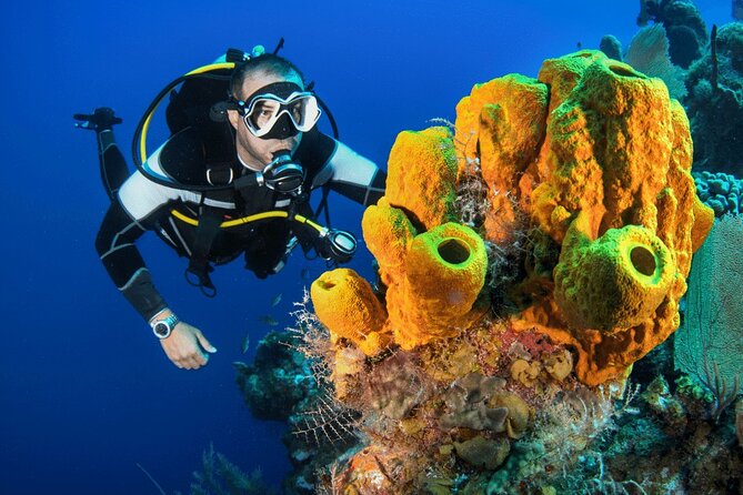 Bodrum Scuba Diving Tour With Lunch & Roundtrip Transfer - Frequently Asked Questions