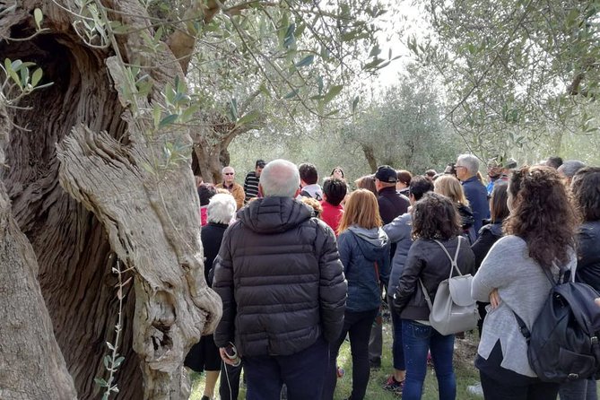 Brisighella Guided Tour With Lunch - Booking
