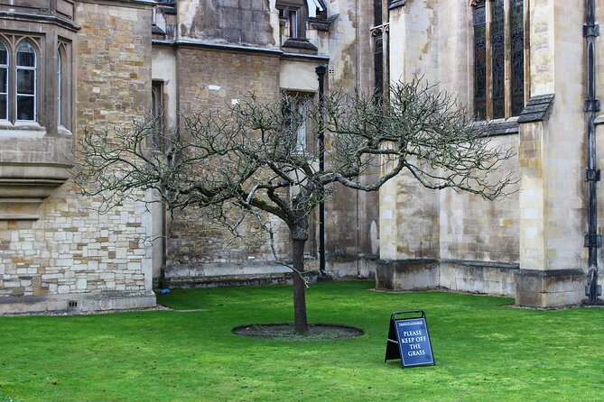 Cambridge Private Walking Tour - Activity Directions