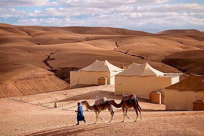Camel Ride & Dinner at Marrakech Desert Agafay - Cancellation Policy