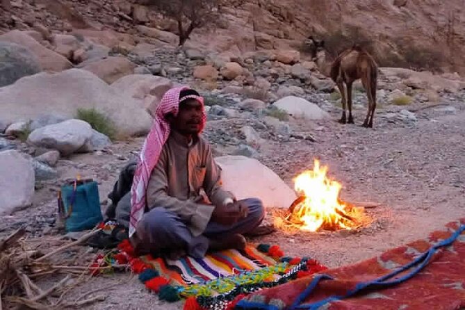 Camel Riding and Bedouin Dinner and Stargazer From Sharm El Sheikh - Pickup Information