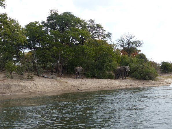 Canoeing With Wildlife Sightings - Frequently Asked Questions
