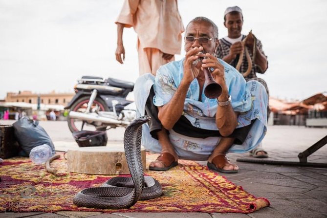 Casablanca Shore Excursion: Private Marrakech Tour - Tour Experience