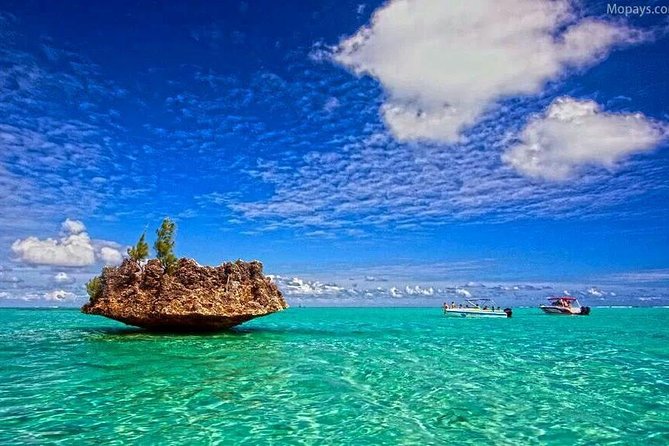 Catamaran Cruise to Ile Aux Bénitiers: Dolphin Watch, Crystal Rock & Transfer - The Sum Up