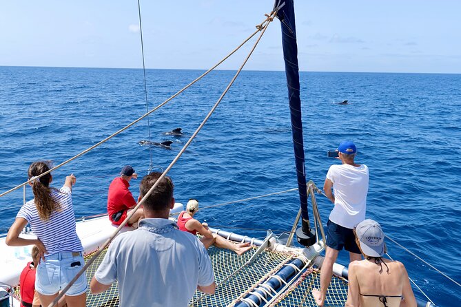 Catamaran Half Day - Beautiful Day on the Atlantic Ocean - Negative Review Response and Solutions
