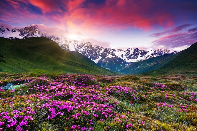 Caucasus Mountains Private Tour : Gudauri - Jinvali - Ananuri - Customer Review