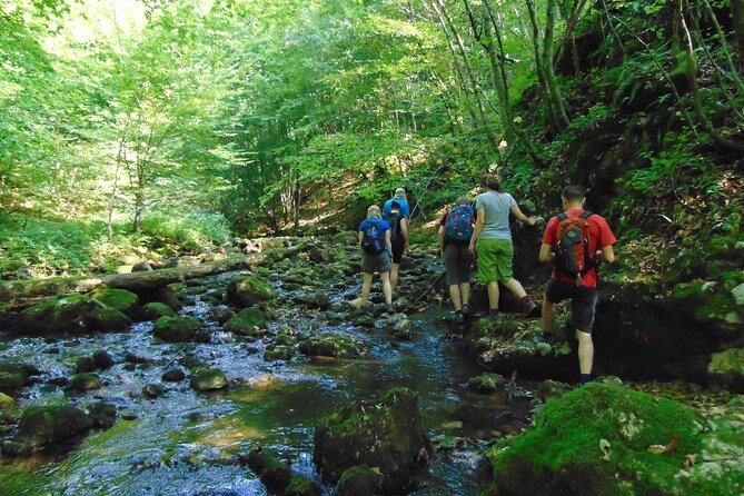 Cave, Hike, Bike and Explore the Western Carpathians,Transylvania,Romania - Frequently Asked Questions