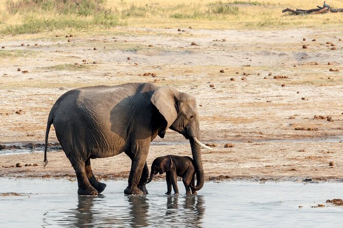 Chobe Day Trip From Victoria Falls - Directions to Chobe