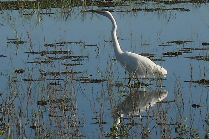 Chobe Full Day Safari Trip - Booking and Cancellation Policy
