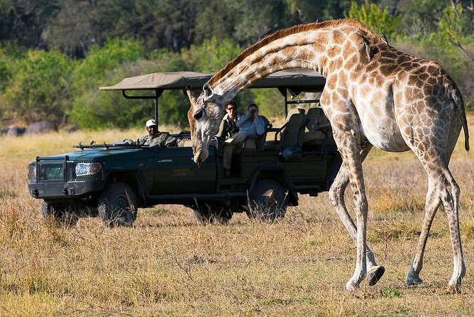 Chobe Full Day Trip From Victoria Falls - Frequently Asked Questions