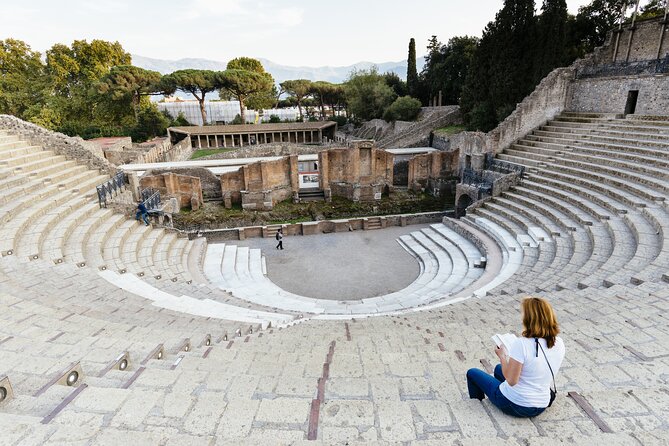 Combined Tour of Vesuvius and Pompeii Ruins With Audio Guide - Price and Reviews