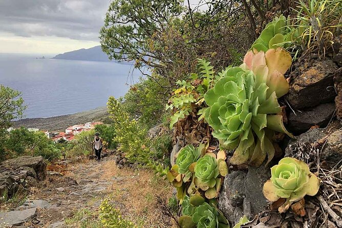 Come Discover the Island of El Hierro in a Small Group - Frequently Asked Questions