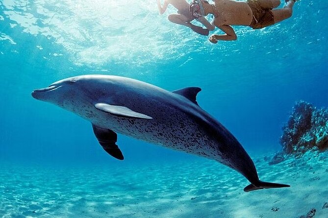 Coral Garden Reefs Snorkeling Boat Trip From Marsa Alam - Snorkeling Equipment Provided