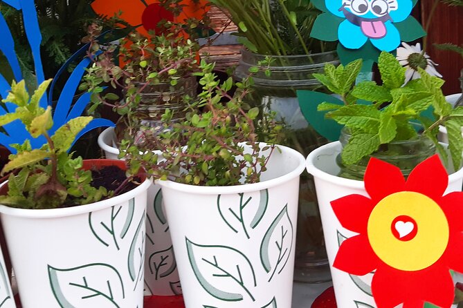Creative Laboratory - Plants and Colours - Included Materials