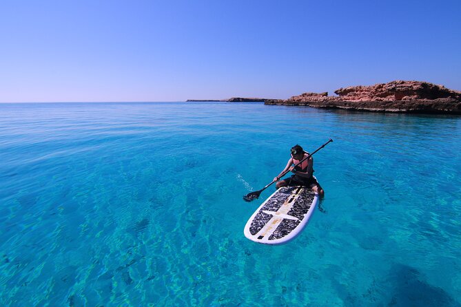 Cruises to Daymaniyat & Snorkeling - Tour Highlights