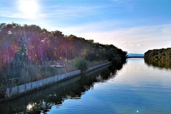 Cycle Albufera Lake, Rice Fields Paella and Boat Ride With Beach - The Sum Up