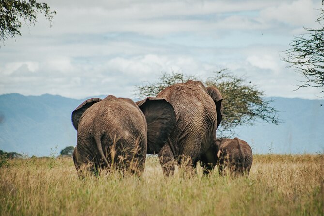 Cycle Kili to Ngorongoro Crater - Pickup and Accessibility