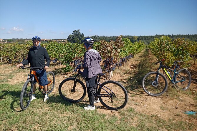 Cycling Vineyards of Bairrada Route, Full Day From Coimbra - Booking Process