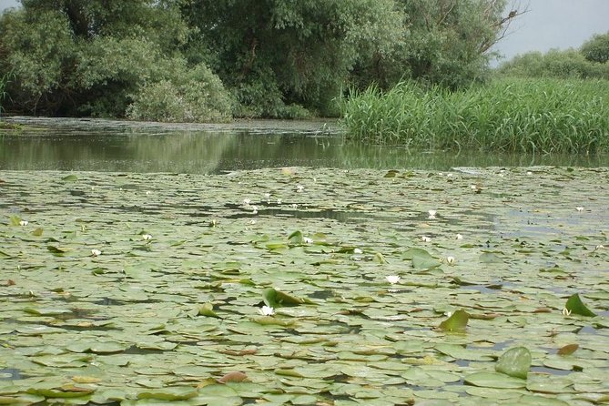 Daily Fishing in the Danube Delta With the Local Guide ... - Booking Process and Guarantee