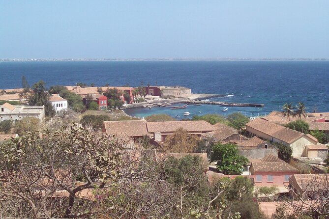 Dakar City Tour and Goree Island - Tour Highlights