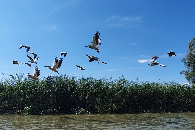 Danube Delta Private Day Trip From Bucharest - Confirmation Process