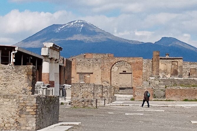 Day Tour Archaeological Site Of Pompei And Herculaneum - Additional Information