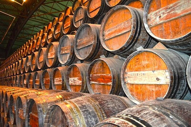 Day Tour Azeitao Sesimbra Arrabida Palmela Setubal - Meeting Point and Time