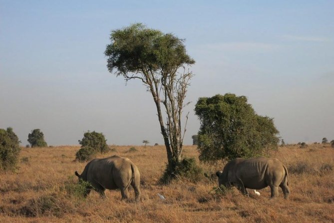 Day Tour Lake Nakuru From Nairobi - Additional Details for Travelers