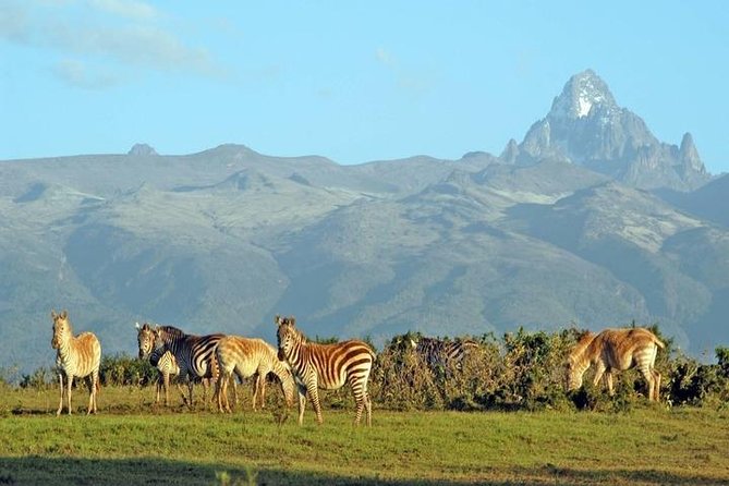 Day Tour To Mt. Kenya - Professional Guide
