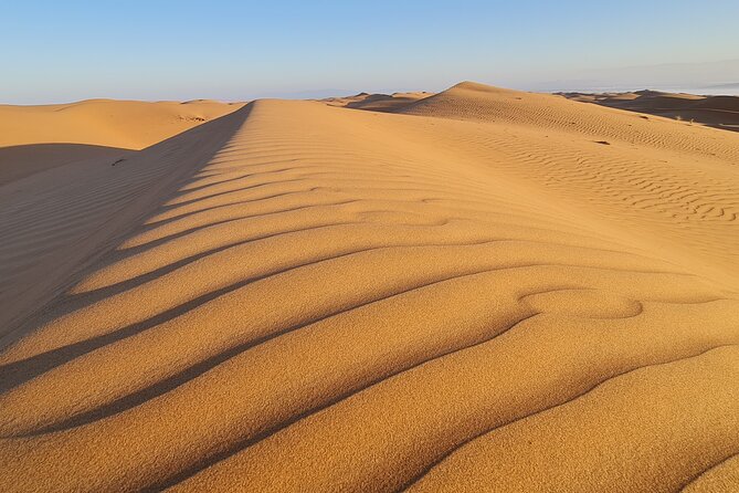 Day Tour to Wahiba Sands Desert and Wadi Bani Khalid (Desert Safari) - The Sum Up