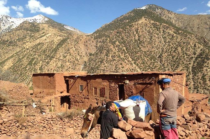 Day Trip From Marrakech to Atlas Mountains and Berber Villages Including Lunch - Tour Details