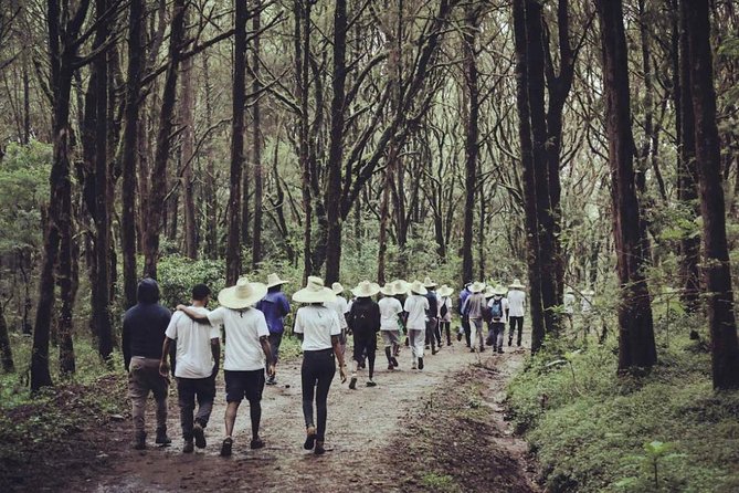 Day Trip To Menagesha Suba Forest - Inclusions and Exclusions