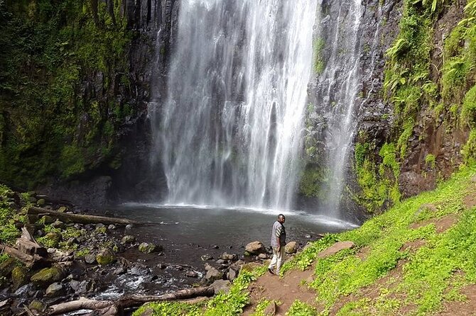 Day Trip to Mount Pare - Itinerary Highlights