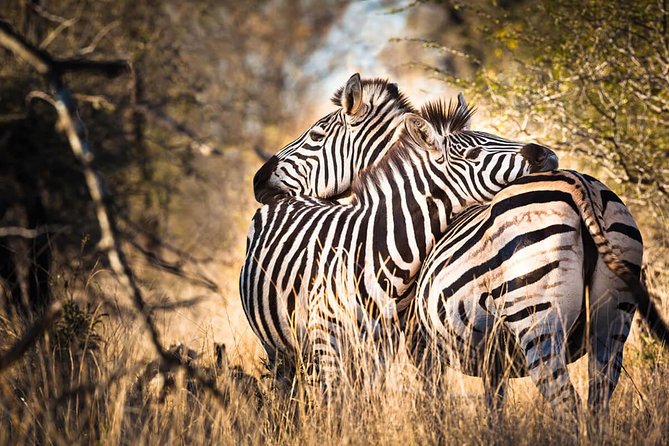 Day Trip Tour to Arusha National Park - Pricing Details