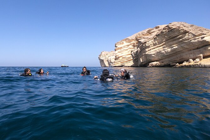 Daymaniyat Island: 2-Dive Scuba Adventure! - Price Details and Booking Information