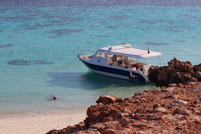 Daymaniyat Island Natural Reserve and Dolphin Watching - Meeting and Pickup Details