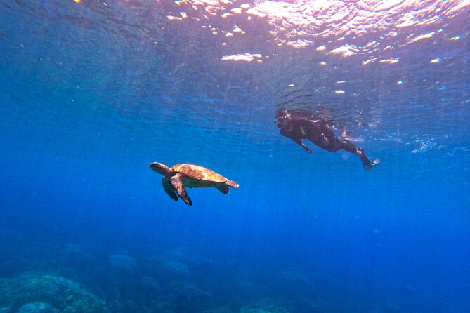 Daymaniyat Islands Snorkeling Sharing Trip - Frequently Asked Questions