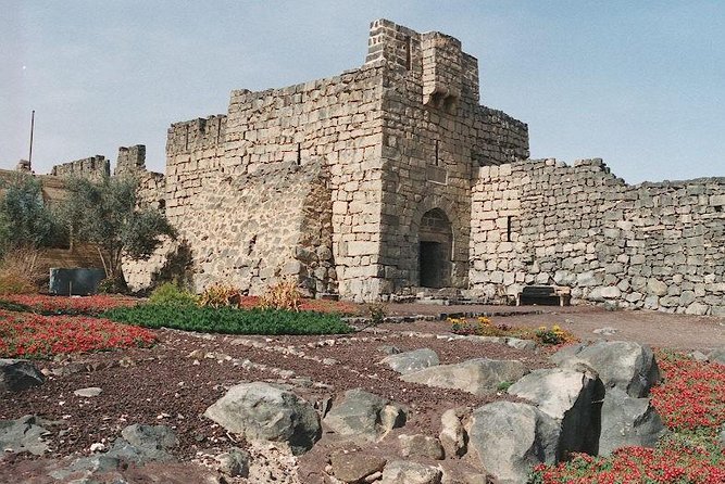 Desert Castles Tour From Amman - Pricing and Options