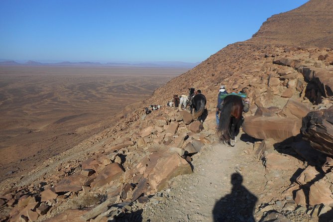 Desert Trail in Morocco on Horseback - Meals and Dining Experience