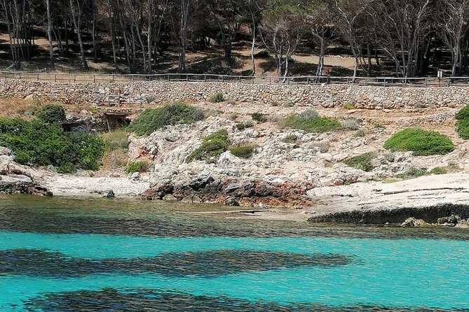 Dinghy Excursion to the Egadi Islands With Tasting on Board - Pricing and Booking Options