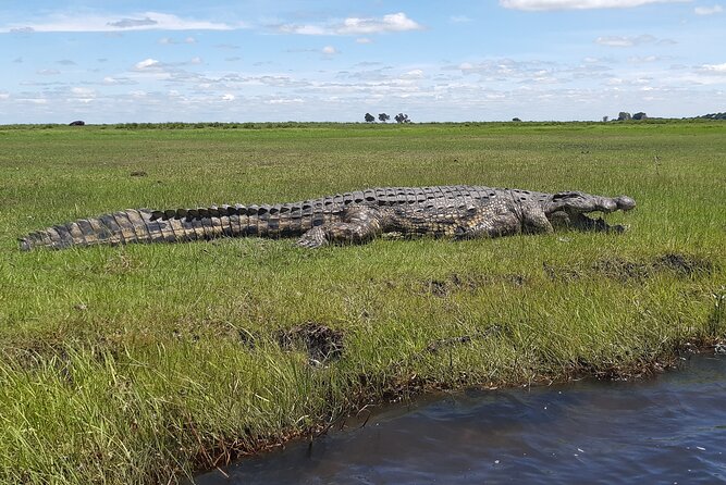 Discounted Combo-Victoria Falls, Chobe Day Trip & Helicopter Ride - Special Notes