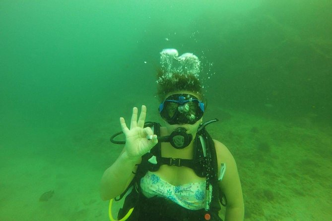 Discover Scuba Diving in Fujirah Dibba - The Sum Up