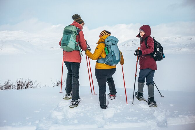 Discover Winter Norway – 2 Days in Jotunheimen (From Oslo) - Meeting and Pickup Information