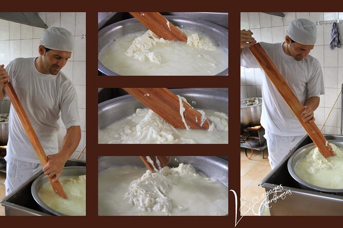 Discovering Napoli,Paestum, Mozzarella&Wine Tasting - Price and Booking Details