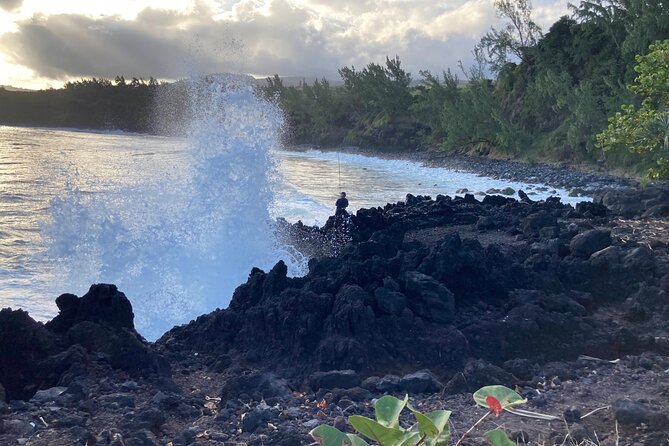 Discovery of Reunion Island The Authentic and Unmissable Wild Coast
